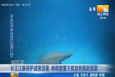 专家：长江江豚保护态势和保护网络已形成