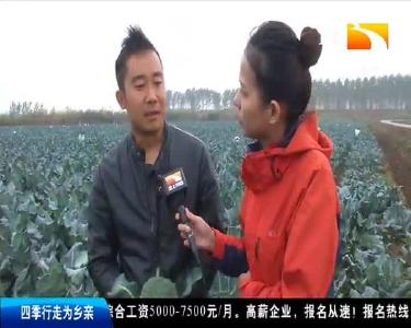 “三减三增” 种蔬菜 产量高 品质优