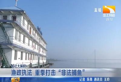 渔政执法 重拳打击“非法捕鱼”