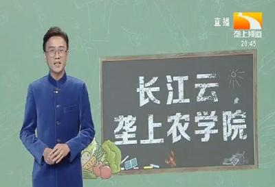 垄上农学院 2019-11-15