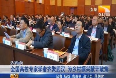 全国高校专家学者齐聚武汉 为乡村振兴献计献策