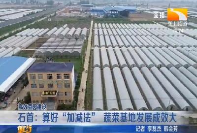 石首：算好 “加减法” 蔬菜基地发展成效大