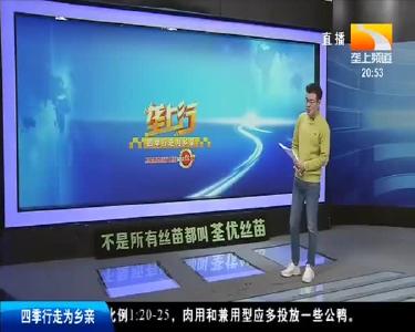 女子兼职刷单 一天被骗九万元