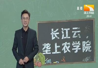 垄上农学院 2019-11-27