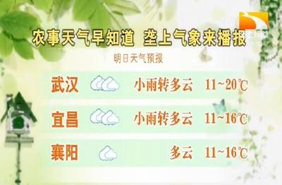 垄上气象站 2019-11-05