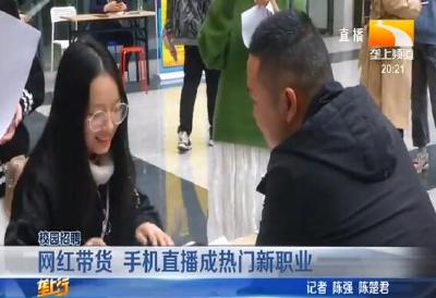 网红带货 手机直播成热门新职业