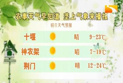 垄上气象站 2019-11-02