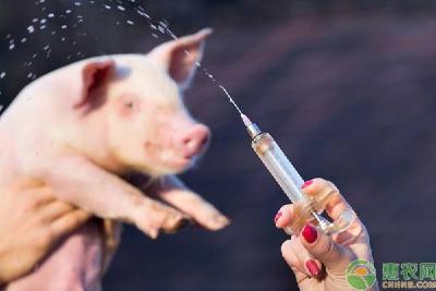 农业农村部：疫情防控期间严管禁用兽药等突出问题！今年兽药行业将实施20项新政！