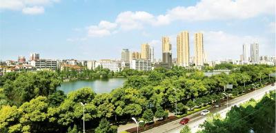 荆州入列“国家森林城市”——绿意涌动荆江畔