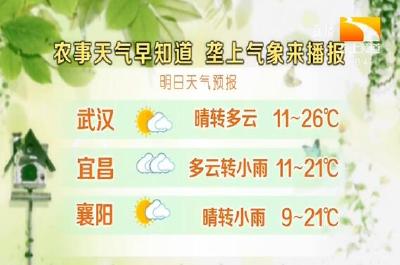 垄上气象站 2019-11-15