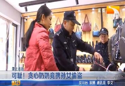 可耻！贪心奶奶竟携孙女偷盗