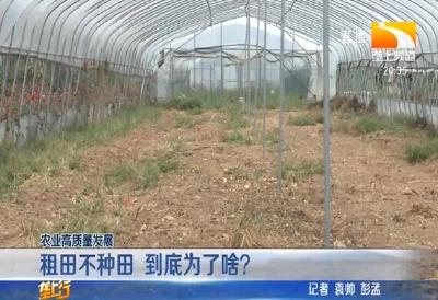 租田不种田 到底为了啥？