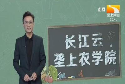 垄上农学院 2019-11-29