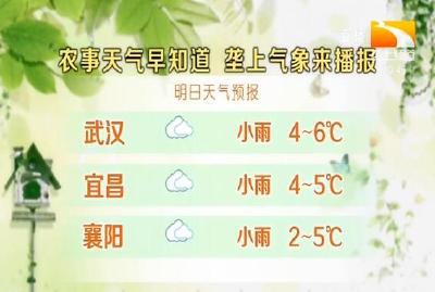 垄上气象站 2019-11-25