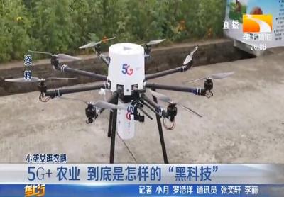 5G+农业 到底是怎样的 “黑科技”