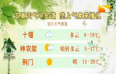 垄上气象站 2019-11-03