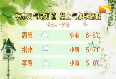 垄上气象站 2019-11-29