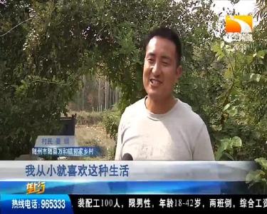 打造生态农场 追梦 “向往的生活”