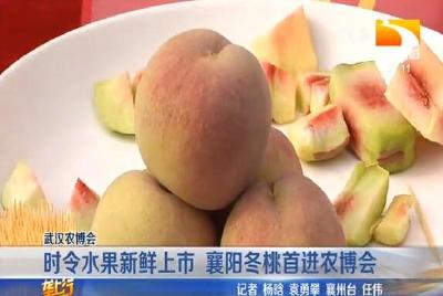 冬桃成当地扶贫新 “引擎” 户均增收过千元