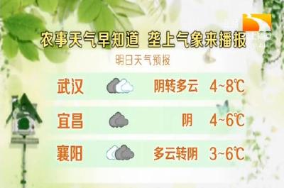垄上气象站 2019-11-27