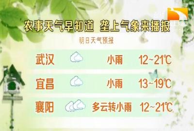 垄上气象站 2019-11-11