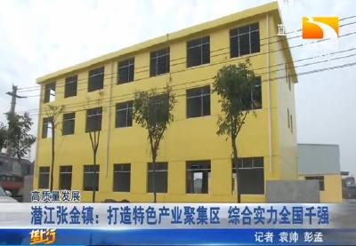 潜江张金镇：打造特色产业聚集区 综合实力全国千强