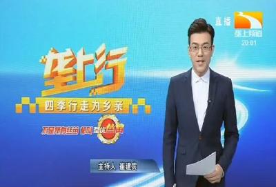 垄上行 2019-11-29
