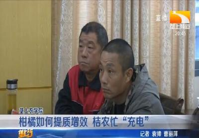 柑橘如何提质增效 桔农忙 “充电”