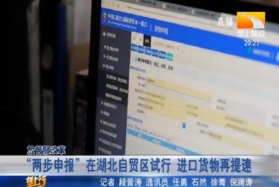 “两步申报”在湖北自贸区试行 进口货物再提速