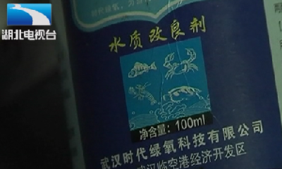 264亩小龙虾血本无归！水草突然死亡，竟是“蓝苔精灵”惹大祸？
