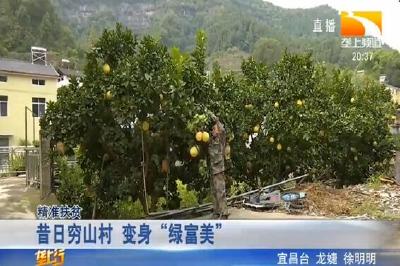 昔日穷山村 变身“绿富美”