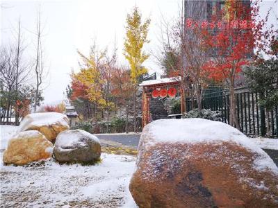 雪姑娘来了！湖北多地飘雪，你那里下雪了吗？