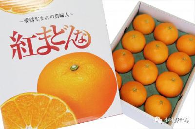 日本柑橘为何从不“低价滞销”？保障果农利益的5大措施，我们应该学习！