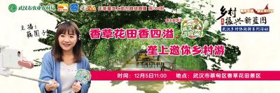 直播预告 |12月5日《垄上优选之我是你的菜》——香草花田香四溢 垄上邀你乡村游