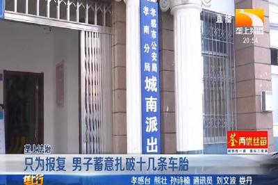 只为报复 男子蓄意扎破十几条车胎