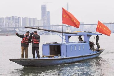 李强主持召开国务院常务会议 部署开展海洋渔船安全生产专项整治工作