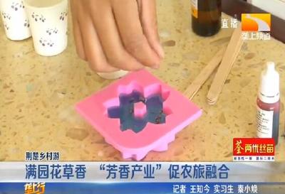 满园花草香 “芳香产业” 促农旅融合