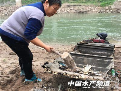 最后的长江渔民：“再捕下去，子孙后代无鱼可捕”