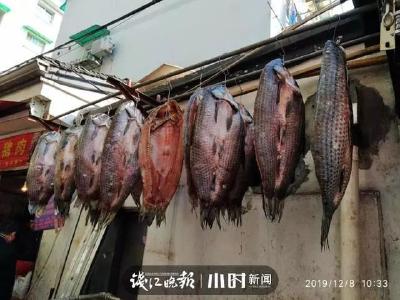 气温直冲23℃！杭州人纷纷开始亮家底：看看谁才是大户人家！