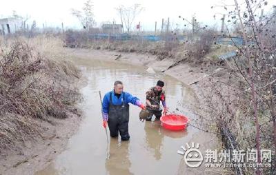 弥市镇：稻鳖鱼生态种养模式 让村民腰包鼓起来