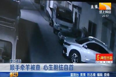 顺手牵羊被查 心生胆怯自首
