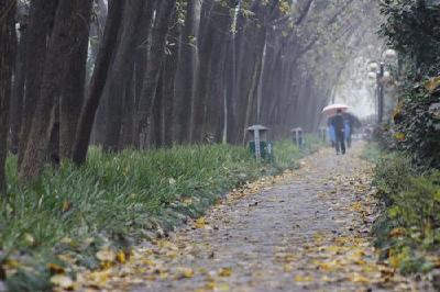 武汉本周切换至阴雨频道 近3天最高气温或跌破10℃