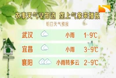 垄上气象站 2019-12-17