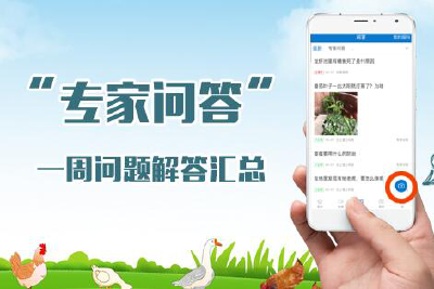 12月23-29日“专家问答”一周问题解答汇总
