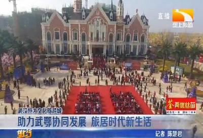 助力武鄂协同发展 旅居时代新生活