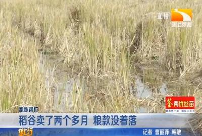 稻谷卖了两个多月 粮款没着落
