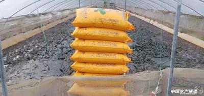  重磅！湖南下发蛙类人工繁育许可证和经营利用许可证办理工作的通知