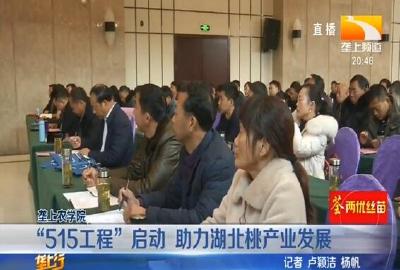“515工程” 启动 助力湖北桃产业发展