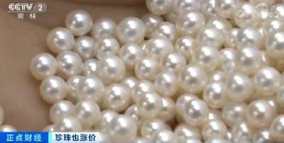 珍珠价格连续三年上涨，养殖面积减半，一个蚌最高能卖五六十
