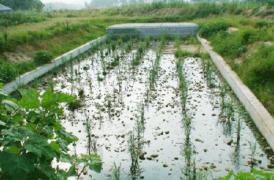 湖北省实现乡镇生活污水处理设施全覆盖 每年减少6.2亿吨生活污水排放